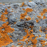 Grounds Rock A Publicdomain (5)