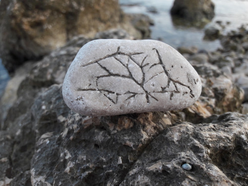 Water On The Rocks.jpg