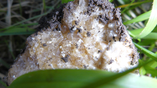 Crystal; Publicdomain; Cc0; Freeimage;.jpg