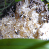 Crystal; Publicdomain; Cc0; Freeimage;