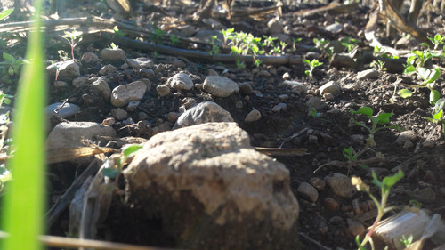 Rock; Publicdomain; Cc0; Freeimage;.jpg