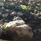 Rock; Publicdomain; Cc0; Freeimage;