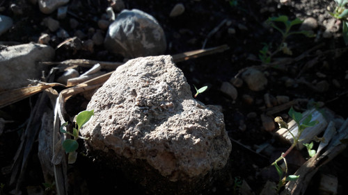 Rock; Publicdomain; Cc0; Freeimage;.jpg