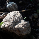 Rock; Publicdomain; Cc0; Freeimage;