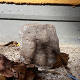 Rock; Publicdomain; Cc0; Freeimage;