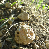 Rock; Publicdomain; Cc0; Freeimage;