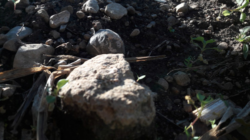 Rock; Publicdomain; Cc0; Freeimage;.jpg