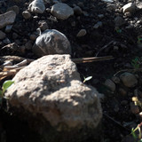 Rock; Publicdomain; Cc0; Freeimage;