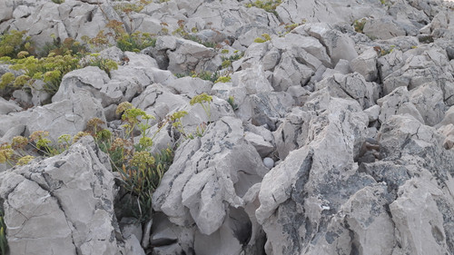 Rock; Publicdomain; Cc0; Freeimage;.jpg