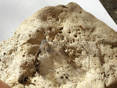 Rock; Publicdomain; Cc0; Freeimage;.jpg