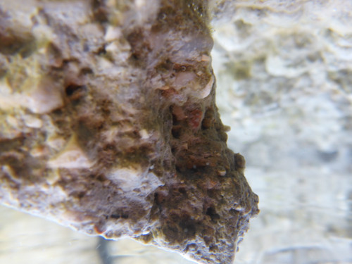 Rock; Publicdomain; Cc0; Freeimage;.jpg