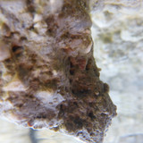 Rock; Publicdomain; Cc0; Freeimage;