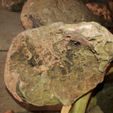 Rock; Publicdomain; Cc0; Freeimage;