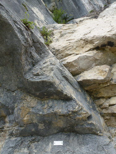 Rock; Publicdomain; Cc0; Freeimage;.jpg