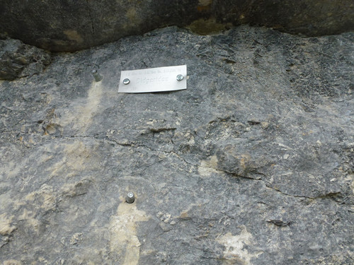 Rock; Publicdomain; Cc0; Freeimage;.jpg