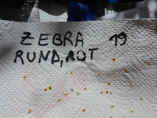 Plant; Publicdomain; Cc0; Freeimage;.jpg