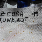 Plant; Publicdomain; Cc0; Freeimage;