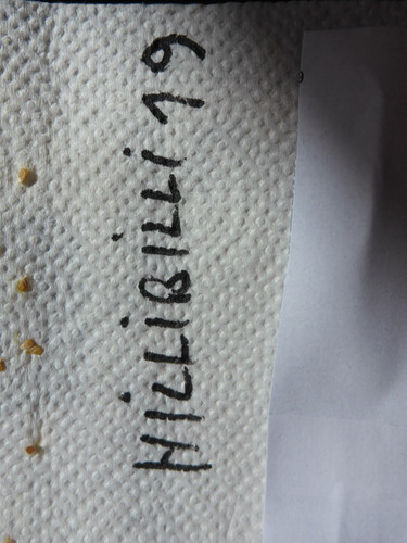 Plant; Publicdomain; Cc0; Freeimage;.jpg