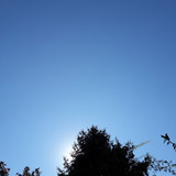 Tree; Publicdomain; Cc0; Freeimage;