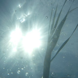 Flora Plant A Beauty Publicdomain (44)