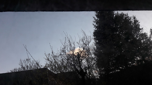 Tree; Publicdomain; Cc0; Freeimage;.jpg