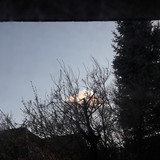 Tree; Publicdomain; Cc0; Freeimage;