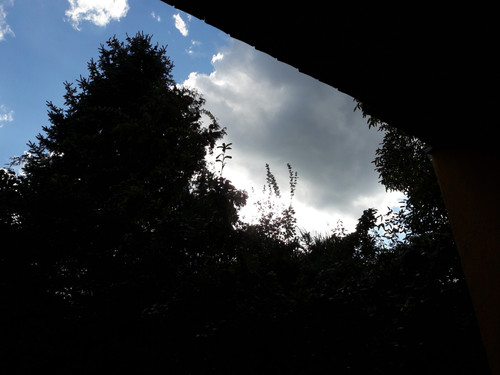 Tree; Publicdomain; Cc0; Freeimage;.jpg