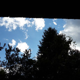 Tree; Publicdomain; Cc0; Freeimage;