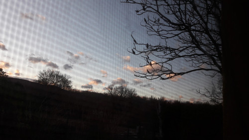 Tree; Publicdomain; Cc0; Freeimage;.jpg