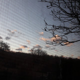 Tree; Publicdomain; Cc0; Freeimage;