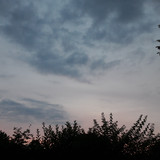 Tree; Publicdomain; Cc0; Freeimage;