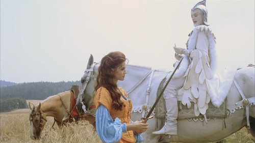 Fantaghiro.1.E01.1080p.WEB DL.SK.AAC2.0.H.264 RgN.mkv snapshot 00.46.36 [2024.12.26 22.14.22].jpg