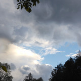 Flora Plant Beauty Publicdomain (230)