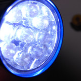 Flora Plant Beauty Publicdomain (150)