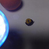 Flora Plant Beauty Publicdomain (149)