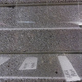 Flora Plant Beauty Publicdomain (175)