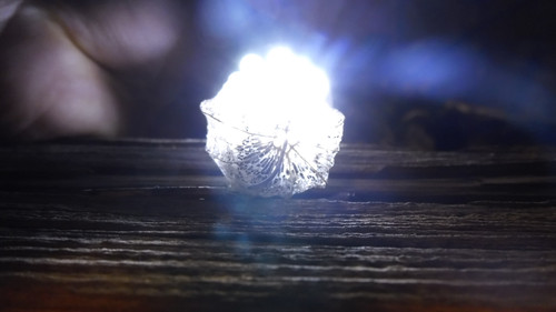 Flora Plant Beauty Publicdomain (171).jpg