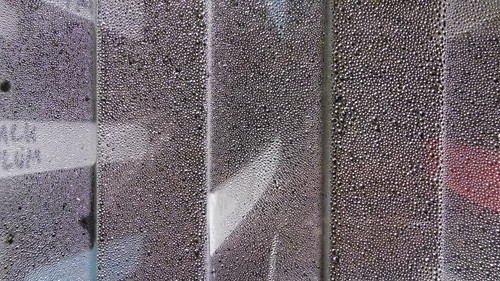 Flora Plant Beauty Publicdomain (177).jpg