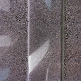 Flora Plant Beauty Publicdomain (177)