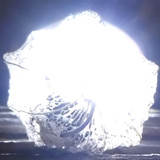 Flora Plant Beauty Publicdomain (173)