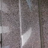 Flora Plant Beauty Publicdomain (176)