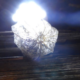 Flora Plant Beauty Publicdomain (170)