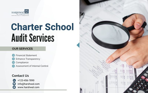 charter school audit service robust service STI.jpg