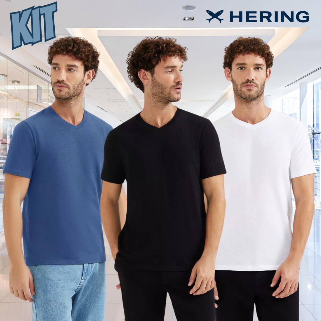 Kit Com 3 Camisetas Masculinas Básicas Slim Gola V Hering