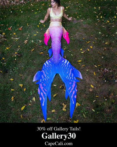 47capecalibrand 1735302214812