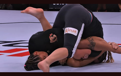LEGINS JIUjitsu768.