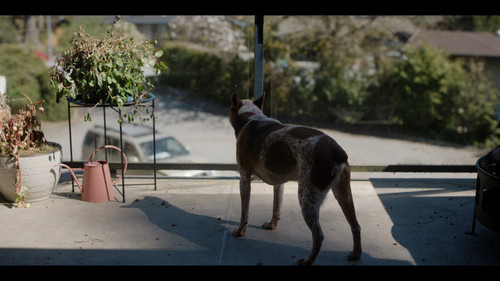 Earth.Abides.S01E01.Alone.2160p.WEB DL.EN.DD+5.1.H265 SuccessfulCrab.mkv snapshot 50.27 [2024.12.28 .jpg