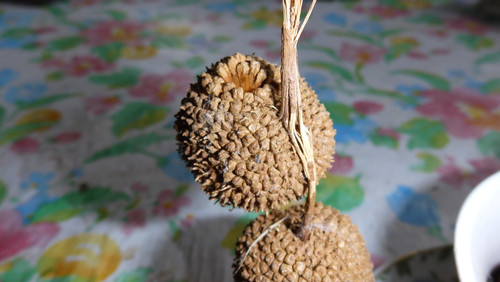 Object A Detail Thing Publicdomain (3).jpg