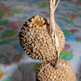 Object A Detail Thing Publicdomain (3)