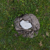 Object A Detail Thing Publicdomain (6)